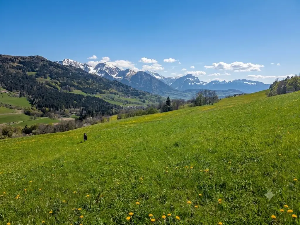 Vue sur le massif des Brasses depuis le dojo